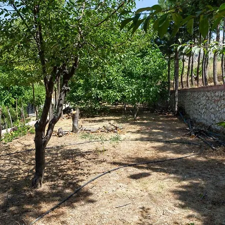 Feslikan Chalet Dağ evi *