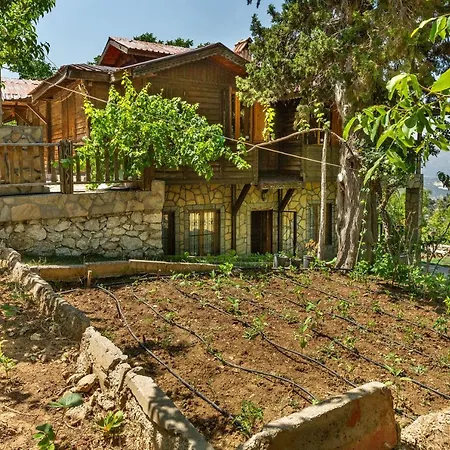 Dağ evi Feslikan Chalet *